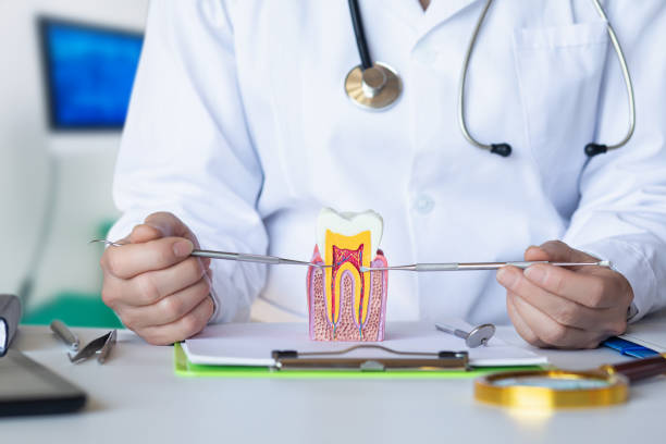 Best Urgent Dental Care for Toothaches in Seven Lakes, NC